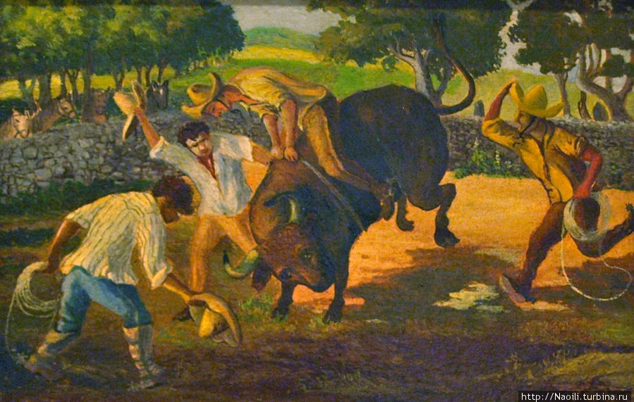 1903 Объезжать норовистых быков под свист и крики моих компаньеров было моим любимым развлечением Мехико, Мексика