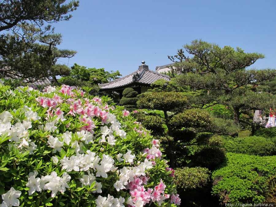 А дальше пошли опять по дворикам Конан, Япония