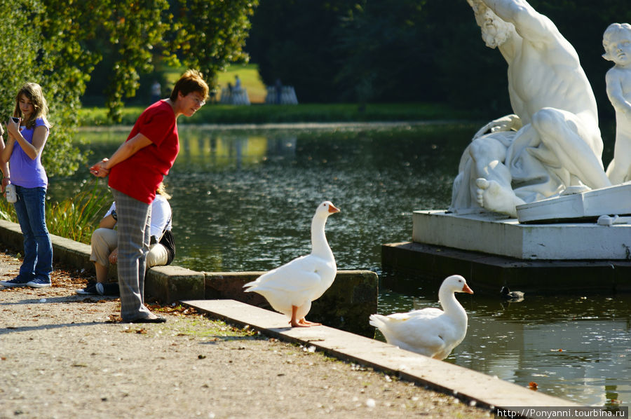 Нескучный парк,сродни Версалю ... Шветцинген, Германия