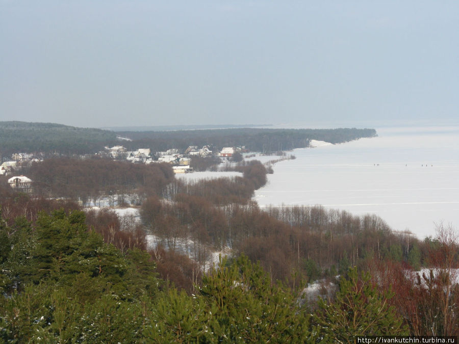 Поселок Морское, до границы 6 км Куршская Коса Национальный Парк, Россия