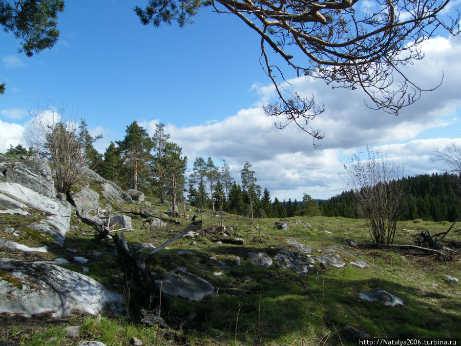 Городище в Паасо. Республика Карелия, Россия