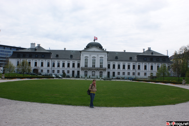 У Президентского дворца, чей реверс закрыт стеклянной стеной Братислава, Словакия