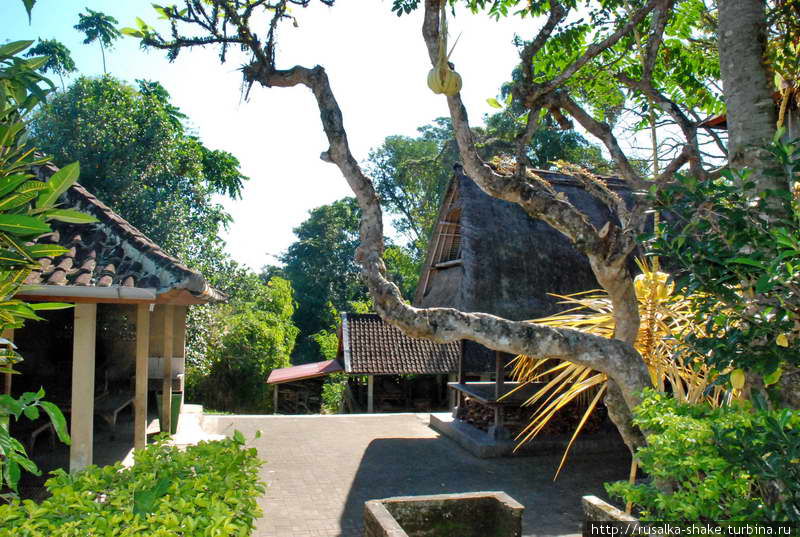 Прекрасный сад Менгви, Индонезия