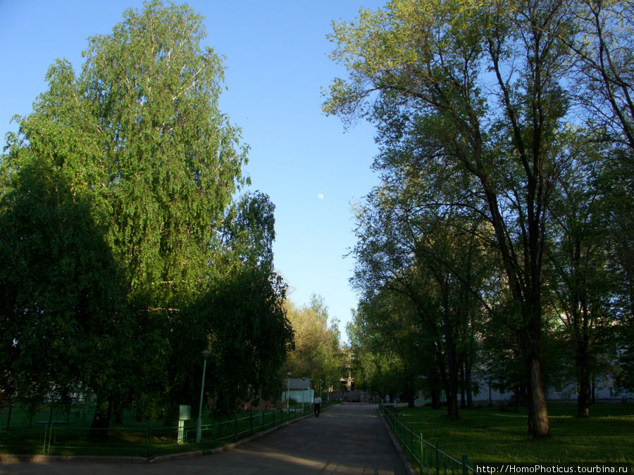 Зеленая Самара, Великая Волга Самара, Россия