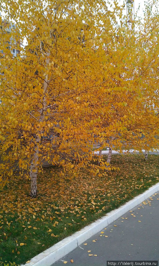 Осень у порога нашего дома. Харьков, Украина