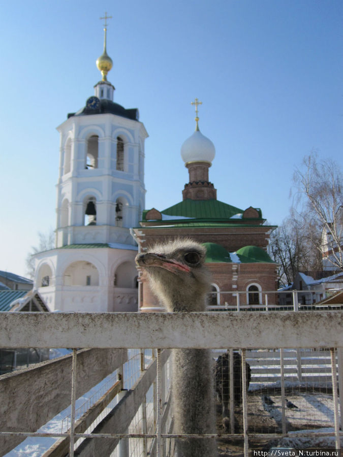 Поездка Рогачево — Николо-Пешношский монастырь Москва и Московская область, Россия