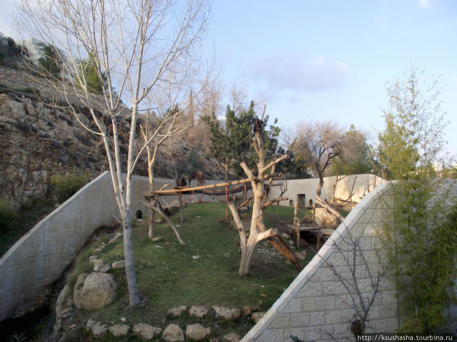 Зоопарк в Иерусалиме Иерусалим, Израиль