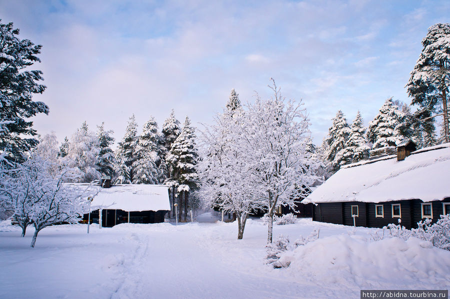 Домики-коттеджи Нурмес, Финляндия