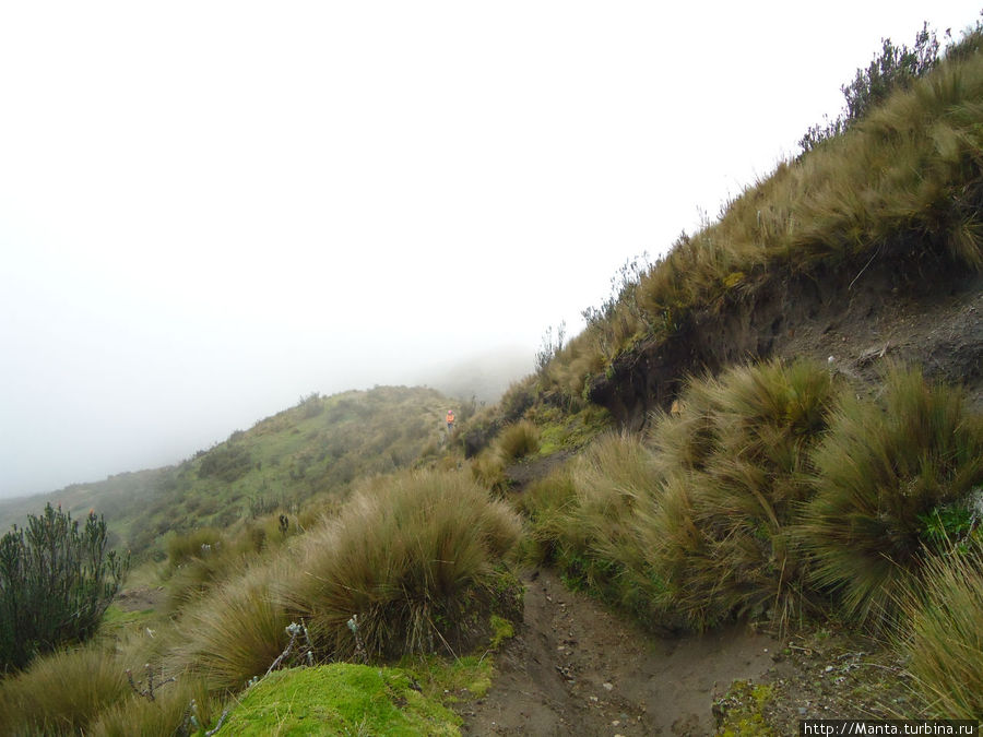 Трекинг к вулкану Руку Пичинча Кито, Эквадор