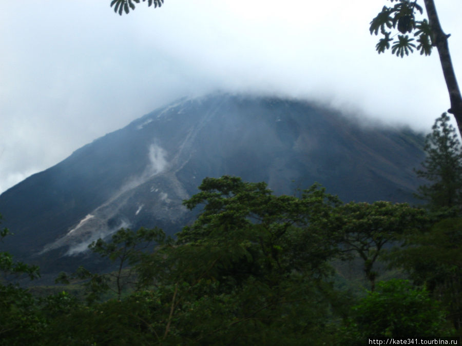 Родина вулкана Ареналь Аренал, Коста-Рика