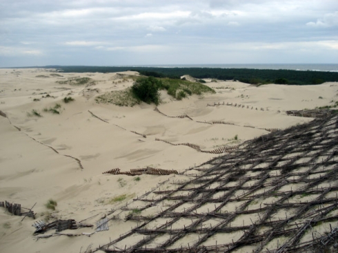 так укрепляют дюны Светлогорск, Россия