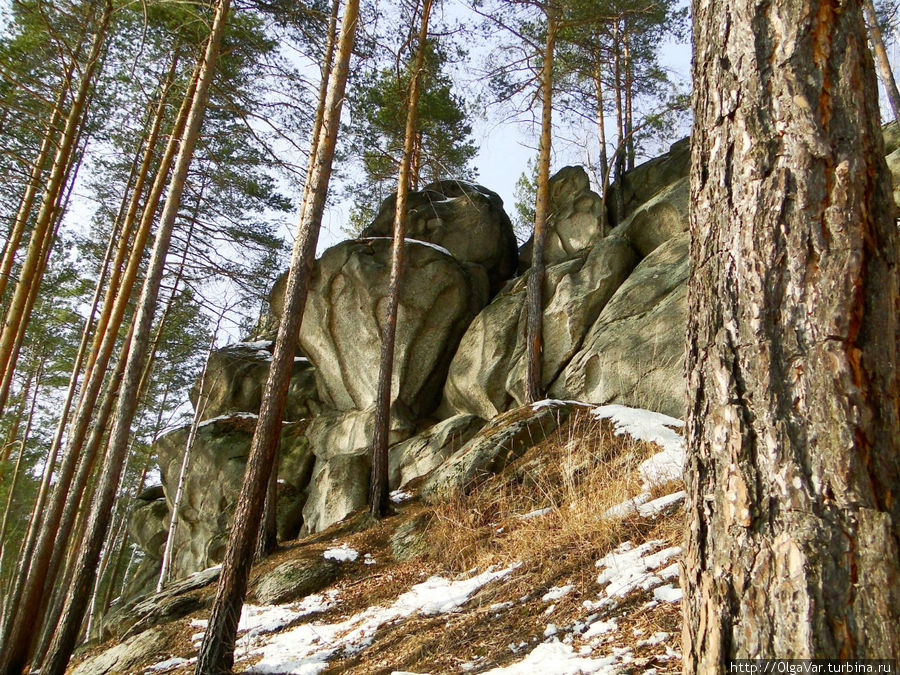 Скалы Каменный цветок Невьянск, Россия