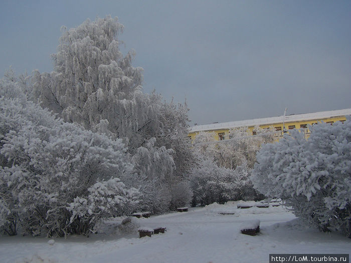 зимний день (площадь Строителей) Череповец, Россия
