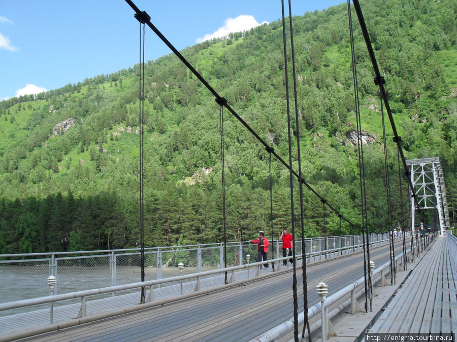Мост в зоне Бирюзовой Катуни. Республика Алтай, Россия