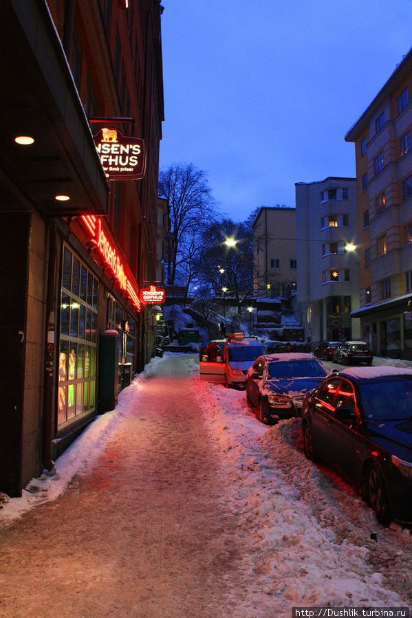 Прогулка по зимнему Стокгольму Стокгольм, Швеция