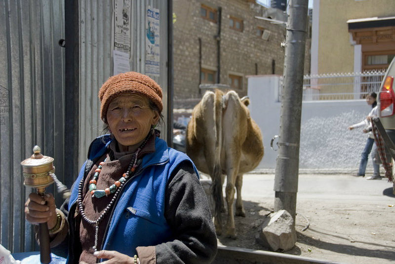 Бабушка и Корова. Штат Джамму-и-Кашмир, Индия