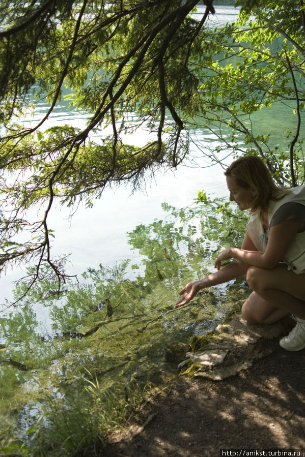 Царство чистейшей воды Национальный парк Плитвицкие озёра, Хорватия