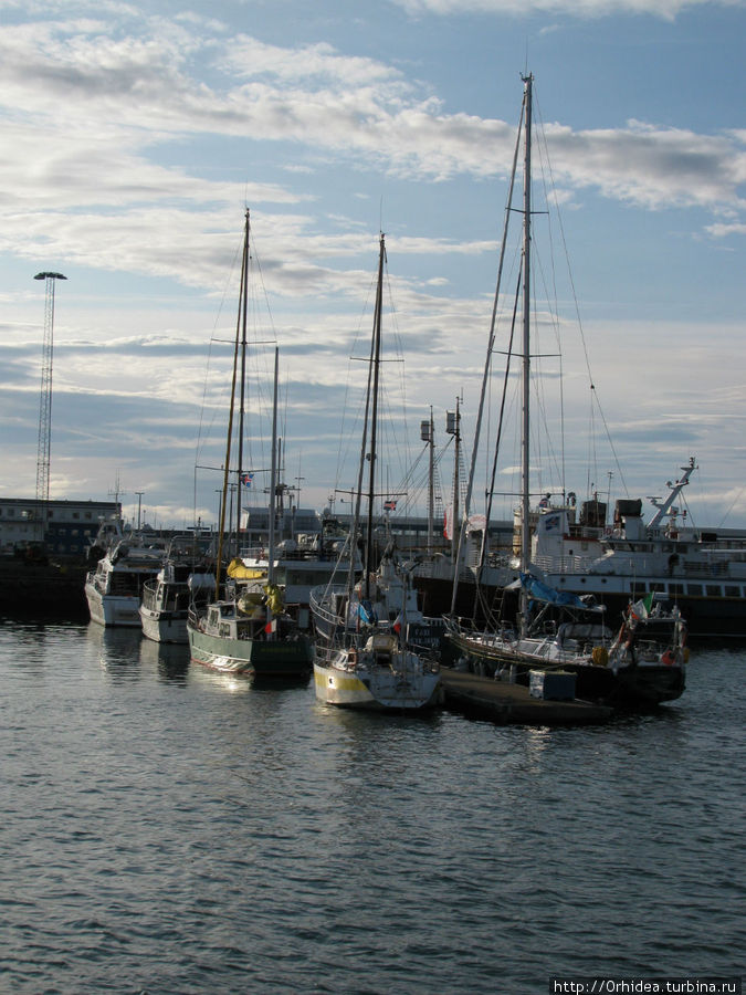 Порт города Рейкьявик и его обитатели Рейкьявик, Исландия