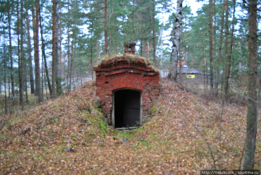 Ледник -