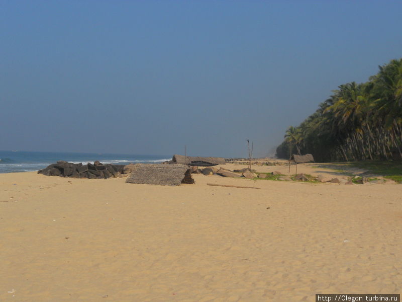 Красота дикого пляжа Варкала, Индия