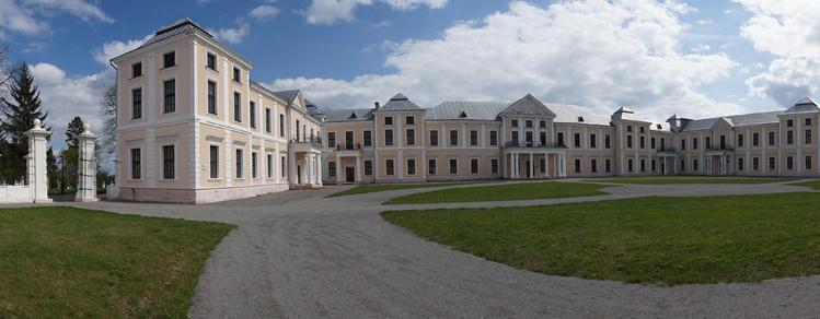 Замок Вишневецких