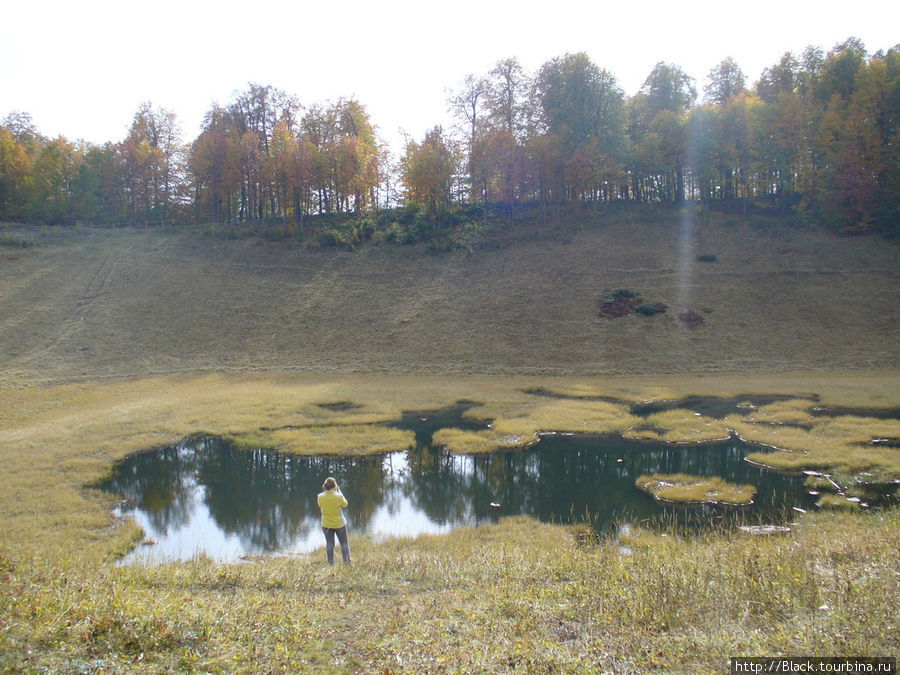 Осень в Поляне вверху и внизу Сочи, Россия