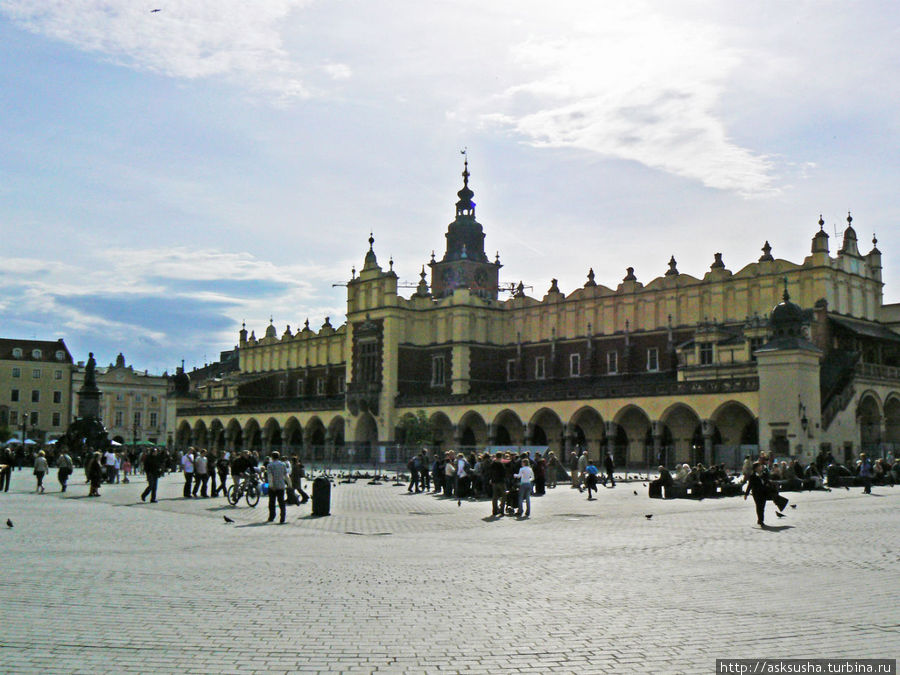 При Казимире Великом на Рыночной площади построили Суконные ряды — Сукенницы, которые в XIX веке были окружены аркадными галереями. На верхнем этаже находится картинная галерея Национального музея Кракова. На первом этаже много магазинчиков с сувенирами. Краков, Польша
