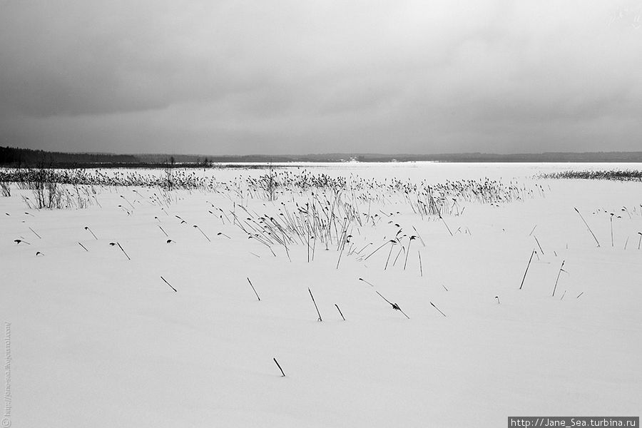 Вид на Лекшмозеро с земли Морщихинская, Россия
