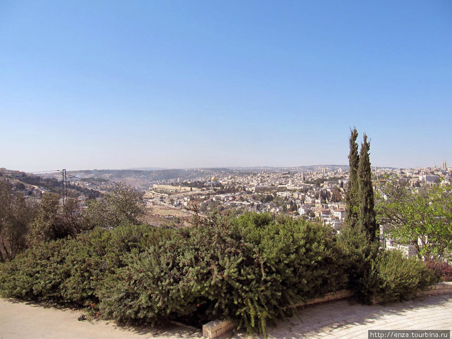 Иерусалим. Гефсимания Иерусалим, Израиль