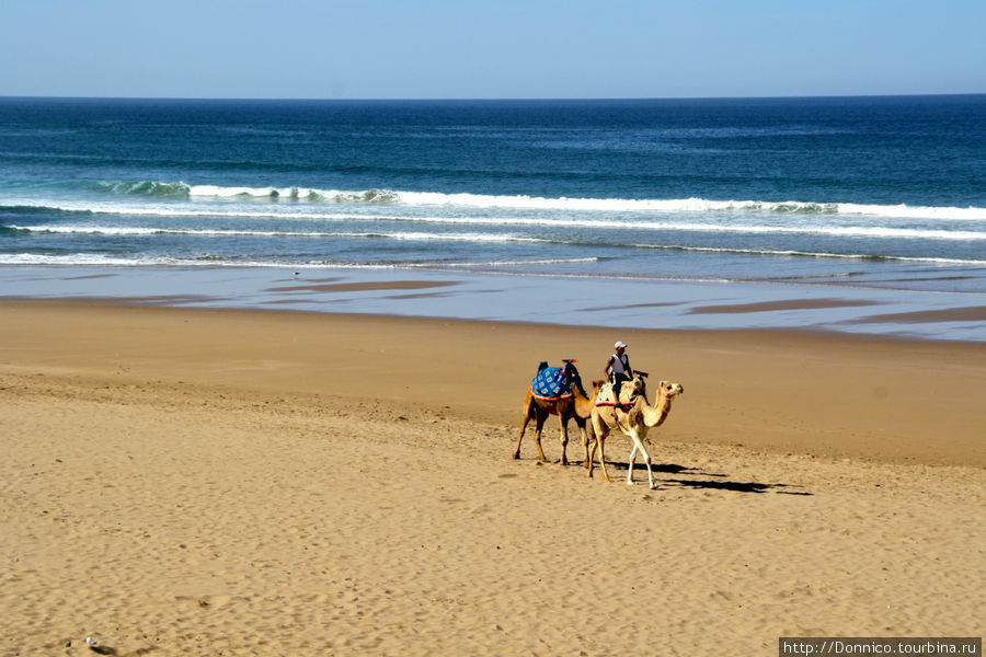 Пляж Аглу - царство песчаного рельефа и ибисов Аглу, Марокко