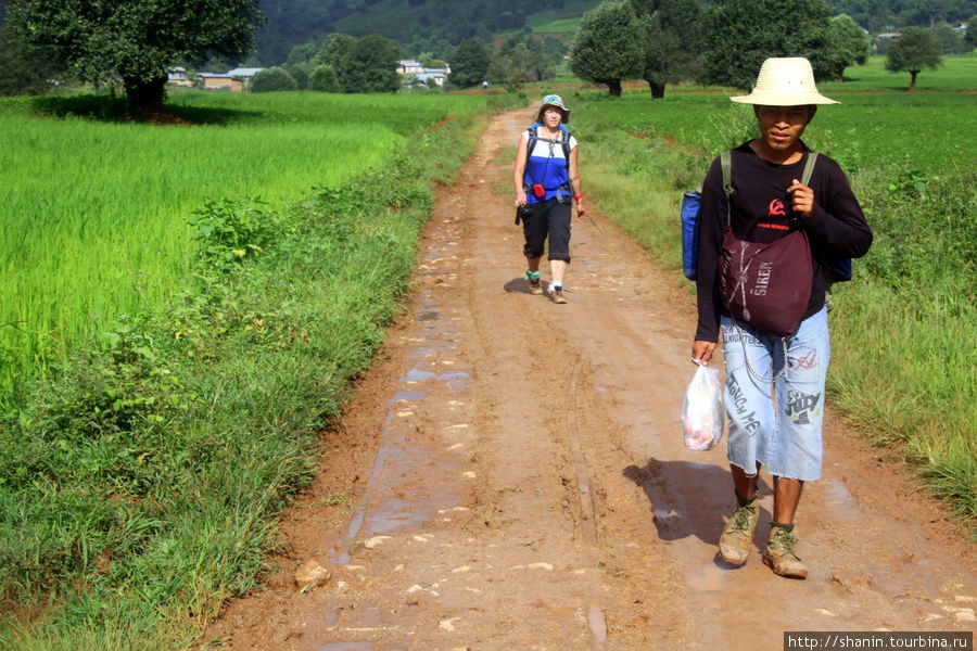 Повар обгоняет, чтобы прийти к месту обеда раньше нас Кало, Мьянма