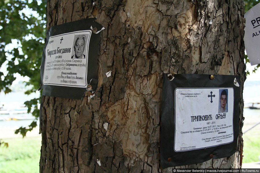 О поминках и похоронах вешают объявения на деревьях и заборах. Сербия