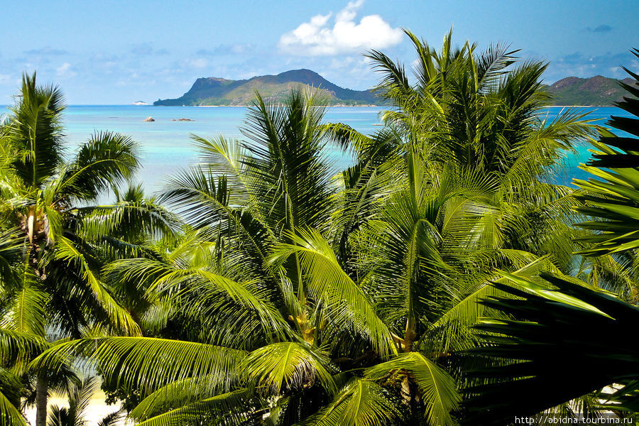 Сейшельские пейзажи Сейшельские острова