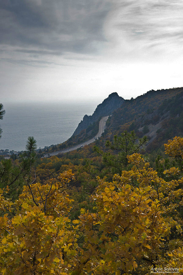 Гора Кошка Республика Крым, Россия