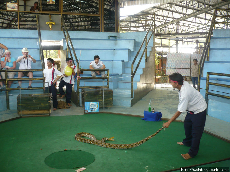 Змеинная ферма Паттайя, Таиланд