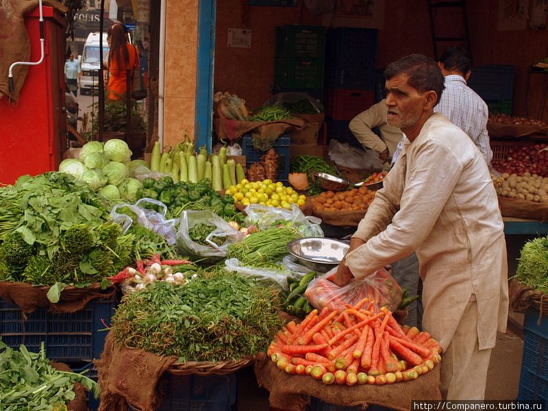 Продавец моет свой товар — овощи и фрукты на его прилавке выглядят свежими, чистыми и красивыми :-) Дели, Индия