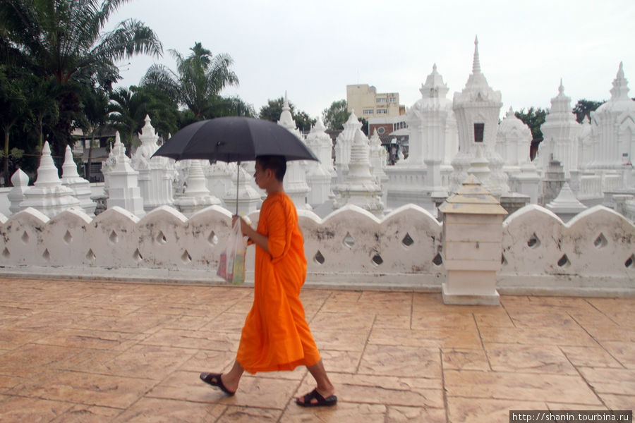 Ват Суан Док - монастырь для студентов Чиангмай, Таиланд