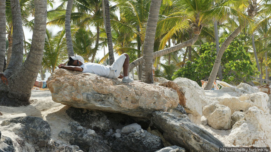 Простой карибский труженик Пунта-Кана, Доминиканская Республика