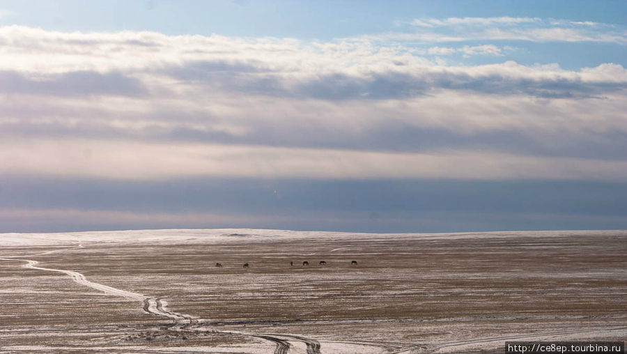 Отъезжаешь от города на 1км — и открывается такой знакомый монгольский пейзаж Арвайхэр, Монголия