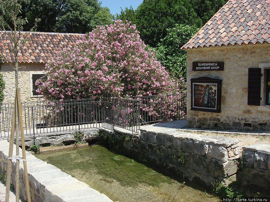 Бывшая деревня, а теперь приманка для туристов, то бишь сувенирная лавка Далмация, Хорватия