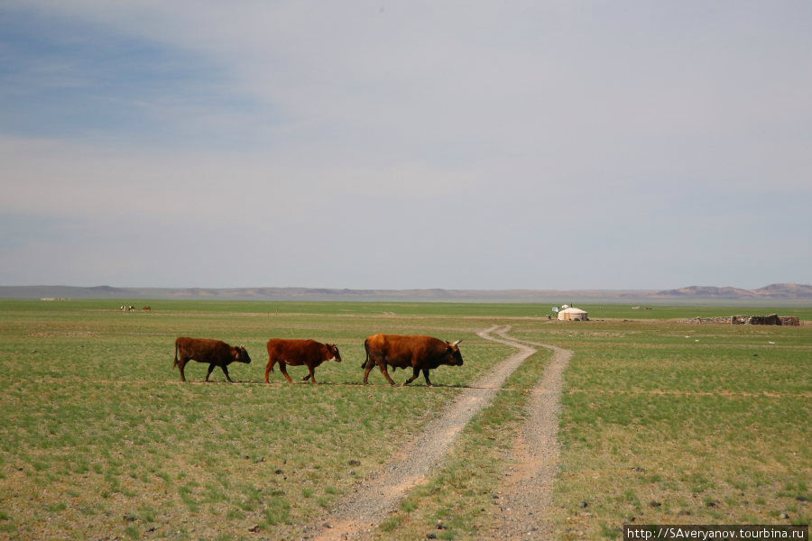 Путь в Южную Гоби Южно-Гобийский аймак, Монголия