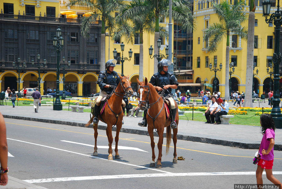 Ах, какие молодцы!  Ах, какие лошадки! Ну и что, что коняжка выложила натурпродукт на асфальт. Красавцев-полицейских это от службы никак не отвлекает. Видимо есть кто-то, следящий за чистотой перуанских улиц. Лима, Перу