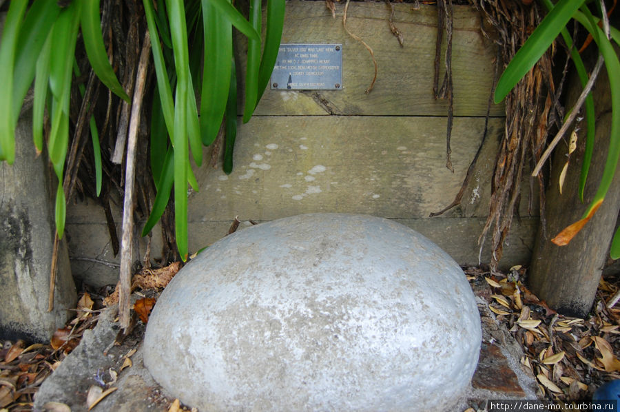 Памятник Каменное яйцо установлен рядом с пирсом Мангонуи, Новая Зеландия
