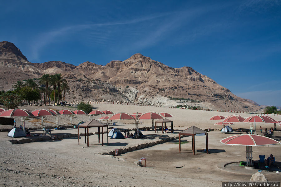 После стоянки располагался бетонный пляж Мертвое море, Израиль