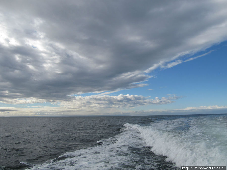 Хмурое небо, хмурая вода Остров Магдалена, Чили