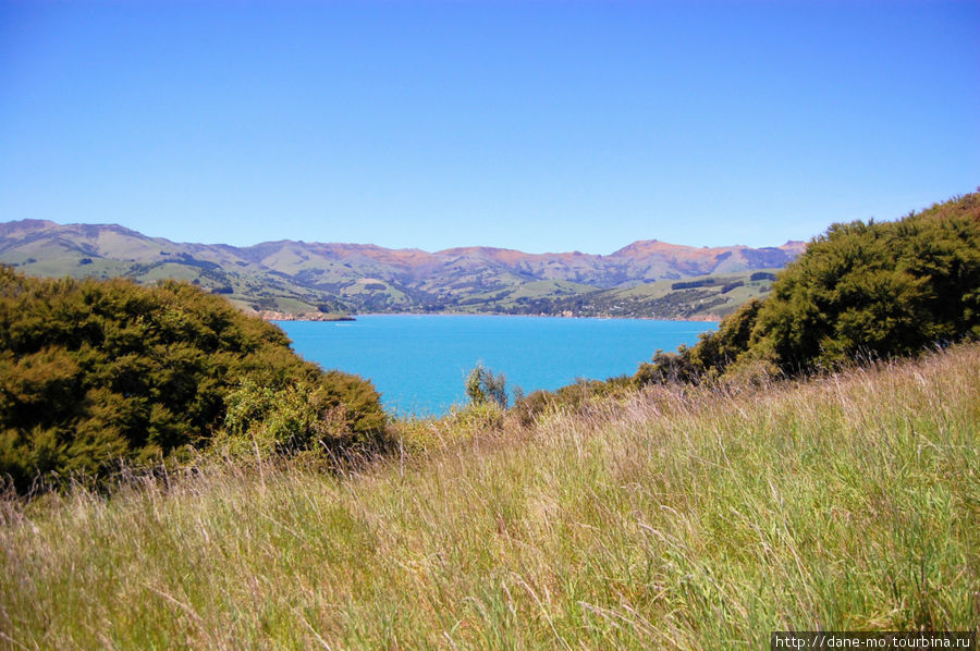 Akaroa новая Зеландия