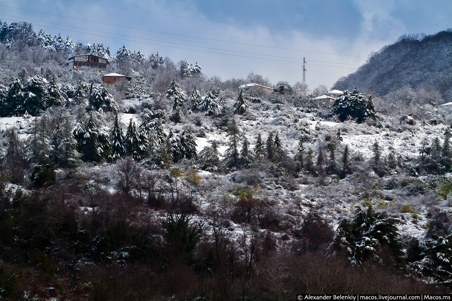 Зимний весенний день в Сухуме Сухум, Абхазия