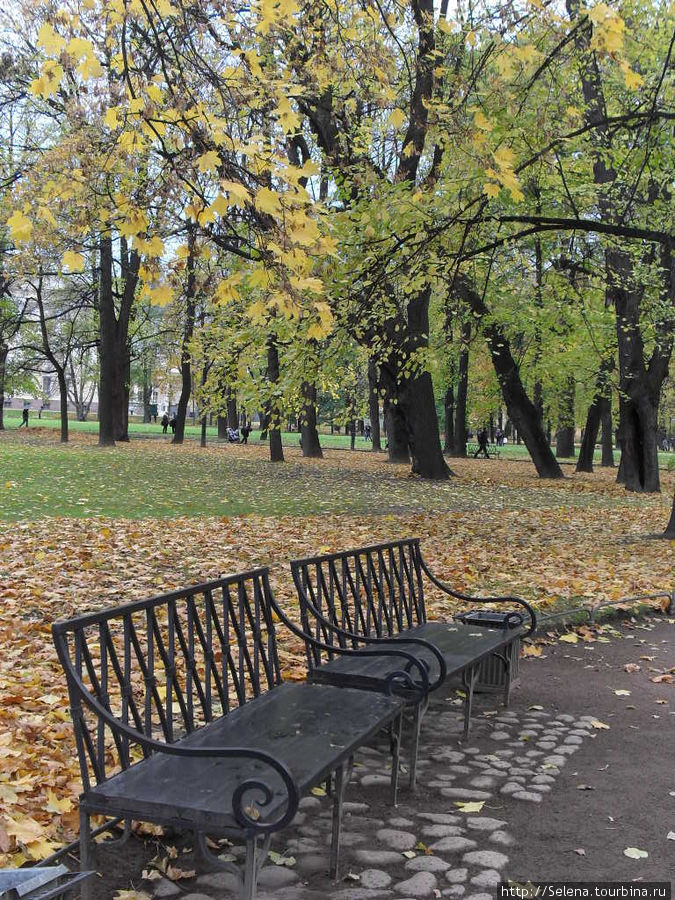 Золотой наряд Михайловского  сада Санкт-Петербург, Россия