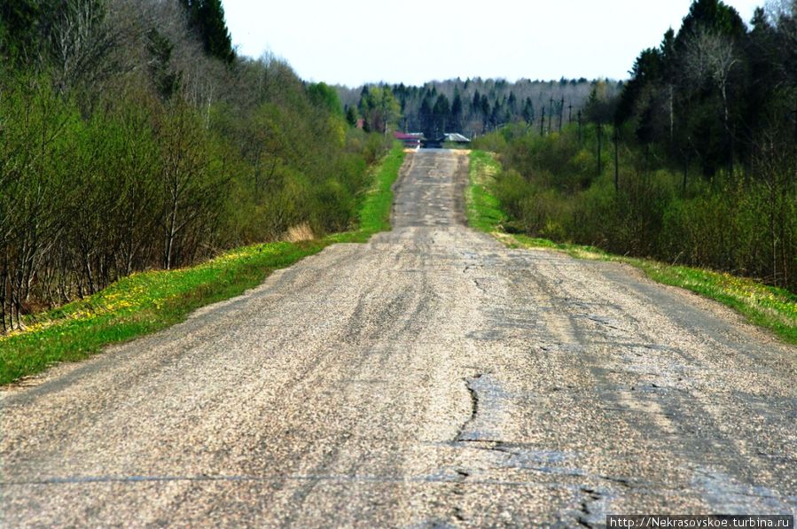 Состояние дороги напоминает, что Баба Яга в ней не нуждалась:) Россия