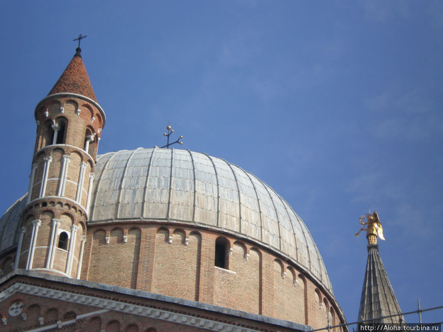 Крыши собора Св. Антония. Падуя, Италия